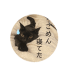 ずっくんほうちゃんぱっち（個別スタンプ：23）