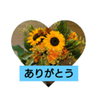 大きな文字  ＆                 シンプル（個別スタンプ：1）