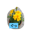 大きな文字  ＆                 シンプル（個別スタンプ：4）