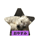 大きな文字  ＆                 シンプル（個別スタンプ：8）