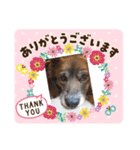 るんと、ここあ 2（個別スタンプ：6）