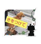 るんと、ここあ 2（個別スタンプ：7）