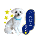 レノン大好き！2（個別スタンプ：2）