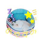 レノン大好き！2（個別スタンプ：4）