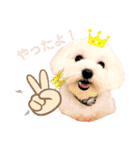 レノン大好き！2（個別スタンプ：11）