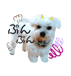 レノン大好き！2（個別スタンプ：13）