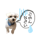 レノン大好き！2（個別スタンプ：14）