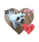 レノン大好き！2（個別スタンプ：16）