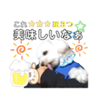 レノン大好き！2（個別スタンプ：22）