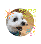 レノン大好き！2（個別スタンプ：27）
