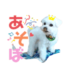 レノン大好き！2（個別スタンプ：28）