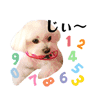 レノン大好き！2（個別スタンプ：29）