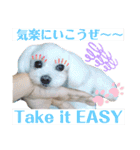 レノン大好き！2（個別スタンプ：30）