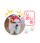 レノン大好き！2（個別スタンプ：32）