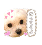 レノン大好き！2（個別スタンプ：33）