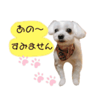 レノン大好き！2（個別スタンプ：35）