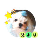 レノン大好き！2（個別スタンプ：39）