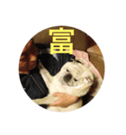 正守と仲間たち（個別スタンプ：2）