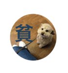 正守と仲間たち（個別スタンプ：3）