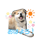 ♥I Love ザク♥（個別スタンプ：1）