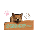 ♥I Love ザク♥（個別スタンプ：4）