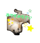 ♥I Love ザク♥（個別スタンプ：5）