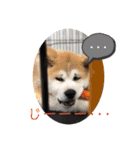 ♥I Love ザク♥（個別スタンプ：7）