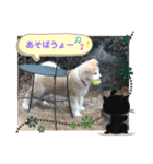 ♥I Love ザク♥（個別スタンプ：8）