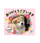 ♥I Love ザク♥（個別スタンプ：10）