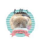 ♥I Love ザク♥（個別スタンプ：11）