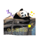 ♥I Love ザク♥（個別スタンプ：13）