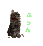 グリスタ vol.1（個別スタンプ：1）