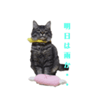 グリスタ vol.1（個別スタンプ：4）