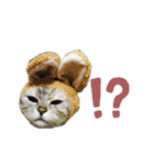 ねこのヒカルちゃんスタンプ（個別スタンプ：11）