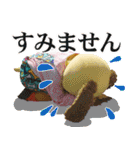 らる★すまいるはっぴぃ（個別スタンプ：31）