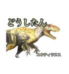 チャンネルDの恐竜スタンプ（個別スタンプ：7）