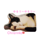 UPIPI時々DEVIL（個別スタンプ：2）