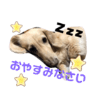 河合くっきー（個別スタンプ：19）