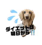 河合くっきー（個別スタンプ：22）