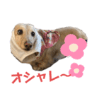 河合くっきー（個別スタンプ：27）