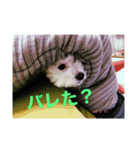 いちの日常(1)（個別スタンプ：3）