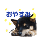 土屋家のちっこい家族（個別スタンプ：2）
