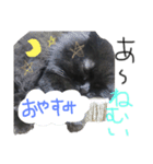 可愛いラム様スタンプ（個別スタンプ：4）