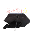 可愛いラム様スタンプ（個別スタンプ：7）