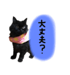 可愛いラム様スタンプ（個別スタンプ：9）