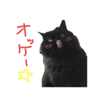 可愛いラム様スタンプ（個別スタンプ：14）