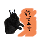 可愛いラム様スタンプ（個別スタンプ：15）