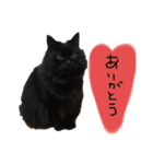 可愛いラム様スタンプ（個別スタンプ：16）