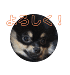 タピのきもち②（個別スタンプ：2）