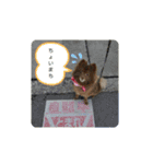 マロクニケ（個別スタンプ：14）